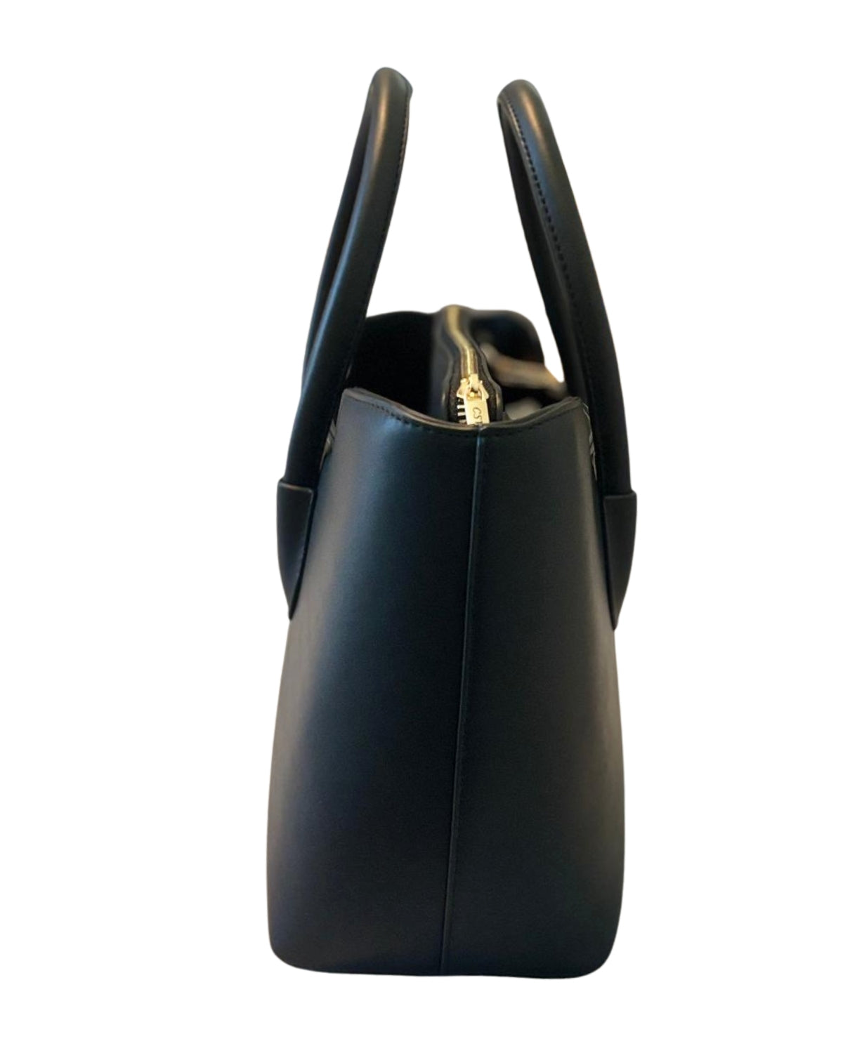 Black CSWAN handbag side view showing structured profile and gold-tone zipper detail